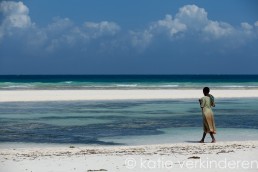 Zanzibar, 2010