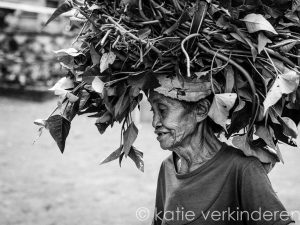 Bali, 2017