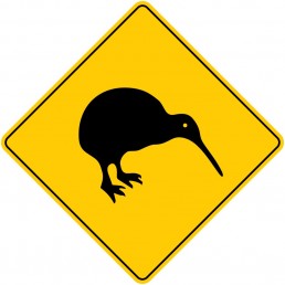 Logo Kiwi architecten